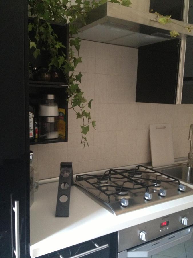בולוניה Apartment Near Historic Center With Bicycles מראה חיצוני תמונה